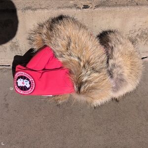 Canada Goose Aviator Red Hat with Fur Trim NWOT S-M